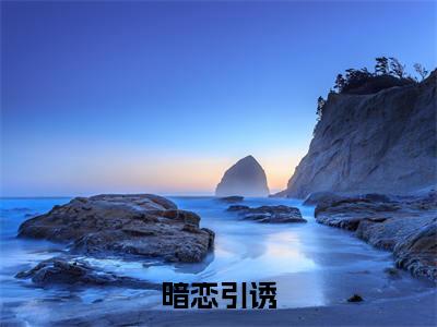 沈悠宜黎晏辞（暗恋引诱）全文免费阅读无弹窗大结局_暗恋引诱小说在线阅读无删减