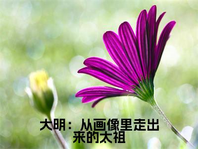 大明：从画像里走出来的太祖小说（李晨朱元璋）全文免费阅读无弹窗大结局_李晨朱元璋小说免费阅读无弹窗最新章节列表