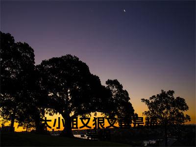 大小姐又狠又毒是福是祸小说全文(李玄风任道成)精选免费小说_大小姐又狠又毒是福是祸小说全文最新章节列表