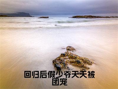 苏时晏回归后假少爷天天被团宠小说全文免费阅读_苏时晏(回归后假少爷天天被团宠)最新章节列表笔趣阁