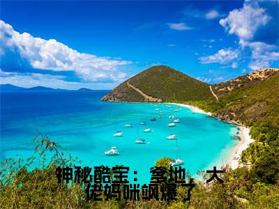 乔安沐霍云霆(神秘酷宝:爹地,大佬妈咪飒爆了)在线阅读的小说完整版-神秘酷宝:爹地,大佬妈咪飒爆了(乔安沐霍云霆)小说免费阅读