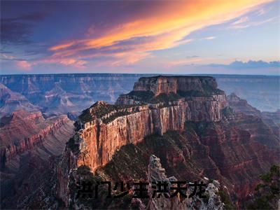 洪门少主洪天龙已完结小说全集阅读(洪天龙完整版大结局)洪门少主洪天龙小说全文阅读笔趣阁