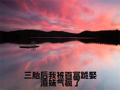 精选小说三胎后我被首富跪娶渣妹气疯了(苏漓傅祁寒)全本阅读_苏漓傅祁寒免费阅读_笔趣阁