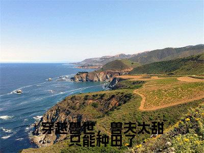 穿越兽世，兽夫太甜只能种田了最新热门小说-（塞洛薇亚）最新章节免费阅读