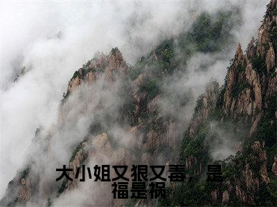 大小姐又狠又毒,是福是祸小说(李玄风任道成)全文免费阅读无弹窗大结局_大小姐又狠又毒,是福是祸完整版最新阅读_笔趣阁(李玄风任道成)
