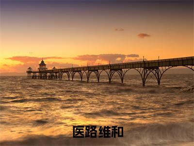 医路维和（姚禹梦赵寅磊）全文在线阅读无弹窗大结局_（医路维和在线阅读）最新章节列表_笔趣阁