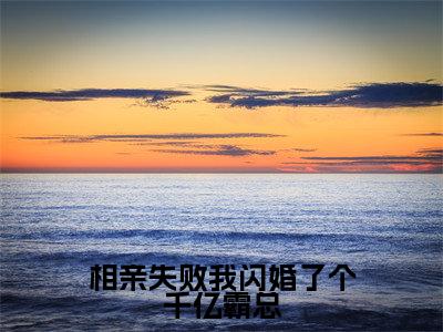 好书推荐小说相亲失败我闪婚了个千亿霸总(纪然白君奕)-相亲失败我闪婚了个千亿霸总全文免费阅读大结局