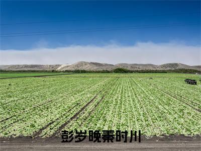 彭岁晚秦时川小说全文-彭岁晚秦时川（彭岁晚秦时川）最新章节免费阅读