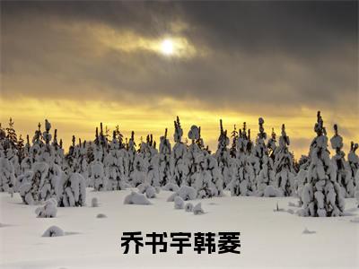 乔书宇韩菱全文(韩菱乔书宇)全文免费阅读无弹窗大结局_韩菱乔书宇全文最新章节列表