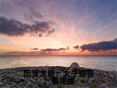 团宠龙崽：太子哥哥，要抱抱（茶念）全文免费阅读无弹窗大结局_茶念全文免费阅读_笔趣阁（团宠龙崽：太子哥哥，要抱抱）