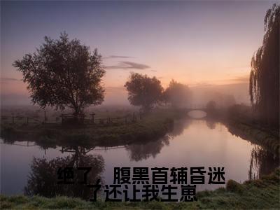 绝了，腹黑首辅昏迷了还让我生崽（温阮）全文免费读无弹窗大结局_（温阮免费小说）绝了，腹黑首辅昏迷了还让我生崽无弹窗最新章节列表