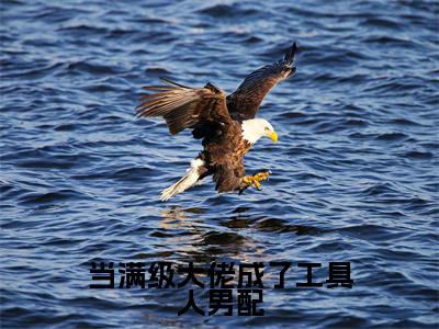 当满级大佬成了工具人男配(时清)小说全文免费阅读无弹窗大结局_当满级大佬成了工具人男配(时清)最新章节列表
