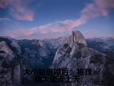大小姐逃婚后,被戏精大佬宠上天(沈晟季挽慈)全文免费阅读无弹窗大结局_(沈晟季挽慈)免费阅读无弹窗最新章节列表