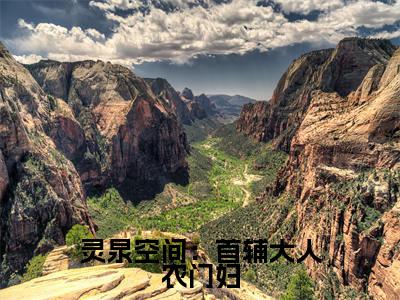 灵泉空间:首辅大人农门妇(苏落儿小说)小说全文免费阅读_苏落儿小说下载_最新章节列表笔趣阁(灵泉空间:首辅大人农门妇)