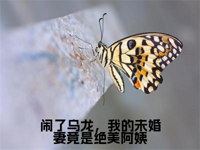 秦天全文免费大结局闹了乌龙,我的未婚妻竟是绝美阿姨小说在线阅读