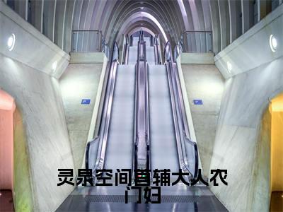 主角为苏落儿的小说(灵泉空间首辅大人农门妇)大结局免费阅读-灵泉空间首辅大人农门妇全文免费阅读笔趣阁