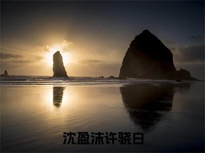 沈盈沫许骁白免费阅读无弹窗最新章节列表-(沈盈沫许骁白)全文免费阅读大结局笔趣阁(沈盈沫许骁白)