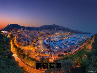 姜暖竹许鹤仪(鹤鹤有鸣)完整全文在线阅读_鹤鹤有鸣小说全章节目录阅读(姜暖竹许鹤仪)