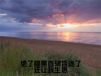 绝了腹黑首辅昏迷了还让我生崽(温阮)全文免费阅读无弹窗大结局_(绝了腹黑首辅昏迷了还让我生崽无弹窗)温阮最新章节列表阅读_笔趣阁