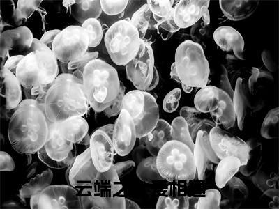 《云端之上爱相遇》主角是安云南季遇川全文免费阅读已完结