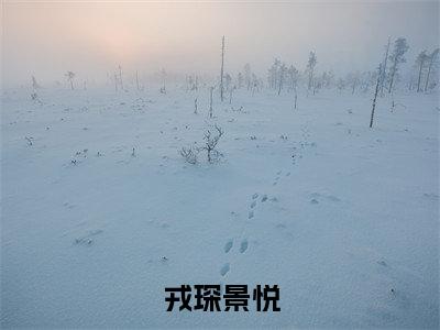 戎琛景悦(景悦戎琛)全文免费阅读无弹窗大结局_戎琛景悦全文阅读_笔趣阁(景悦戎琛)