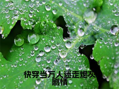安知(快穿当万人迷走炮灰剧情)全文免费阅读无弹窗大结局_安知快穿当万人迷走炮灰剧情_笔趣阁
