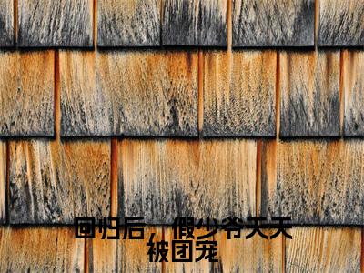 苏时晏回归后,假少爷天天被团宠老书虫推荐小说免费阅读_(苏时晏)完整版全文在线赏析