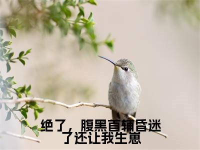 绝了,腹黑首辅昏迷了还让我生崽精选小说大结局阅读_(温阮)绝了,腹黑首辅昏迷了还让我生崽免费阅读最新章节列表