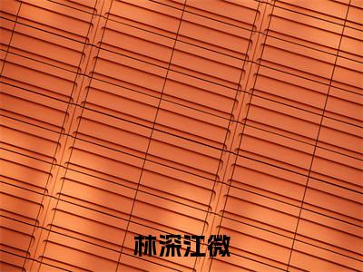 林深江微小说大结局免费阅读,江微林深抖音新上热文分享