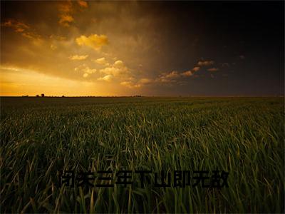 闭关三年下山即无敌 小说（林枫）全文免费阅读无弹窗大结局_林枫小说最新章节列表