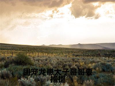 茶念小说免费（团宠龙崽太子哥哥要抱抱）全文免费阅读无弹窗-团宠龙崽太子哥哥要抱抱小说全文免费阅读最新章节列表