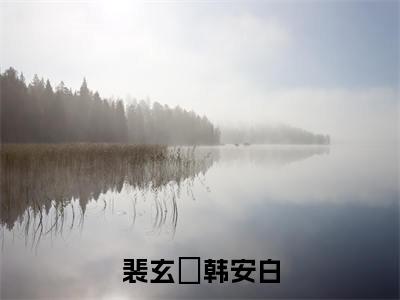 韩安白裴玄黓(裴玄黓韩安白)全文免费韩安白裴玄黓读无弹窗大结局_韩安白裴玄黓免费裴玄黓韩安白读最新章节列表_笔趣阁