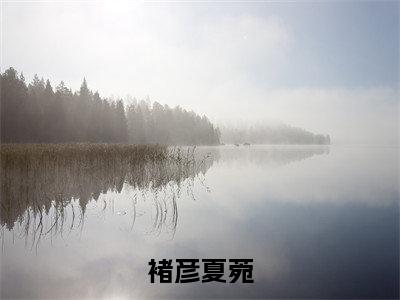 褚彦夏菀(褚彦夏菀)全文免费阅读无弹窗大结局_褚彦夏菀最新章节列表(褚彦夏菀)