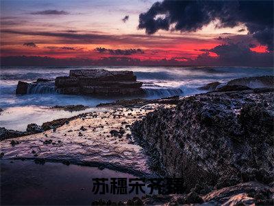 苏穗宋齐臻(苏穗宋齐臻)全文小说免费阅读-苏穗宋齐臻最新章节列表_笔趣阁