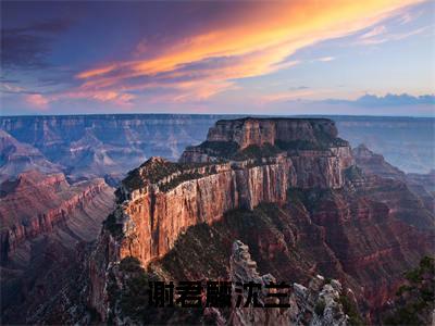 小说谢君麟沈兰全文免费阅读无弹窗_（沈兰谢君麟完结）谢君麟沈兰小说免费阅读无弹窗最新章节列表