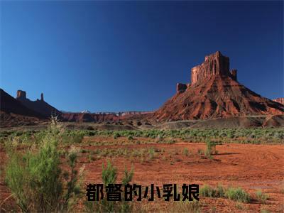 都督的小乳娘小说免费阅读全文在线阅读,柳南牺裴随安的小说在线阅读全文
