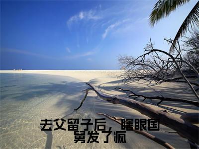 去父留子后,瞎眼国舅发了疯(大结局小说全集完整版)沈枝熹宋涟舟小说_去父留子后,瞎眼国舅发了疯全文阅读笔趣阁(后续)+(全文)