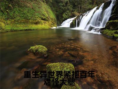 杨凌晨东方云冰（重生异世界紧抱百年老怪大腿）全文免费阅读无弹窗_杨凌晨东方云冰重生异世界紧抱百年老怪大腿最新章节免费阅读_笔趣阁