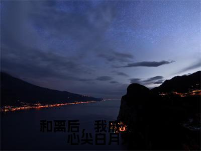 和离后，我成了皇帝心尖白月光小说（徐晚凝）全文免费阅读无弹窗大结局_（徐晚凝）最新章节列表（徐晚凝）