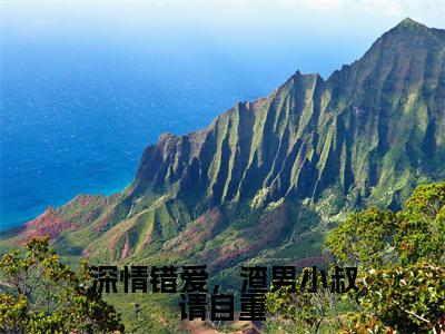 唐知芝季承允新书深情错爱，渣男小叔请自重看全文小说-唐知芝季承允小说资源阅读深情错爱，渣男小叔请自重