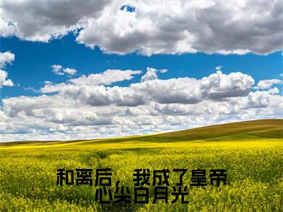 和离后，我成了皇帝心尖白月光（徐晚凝）最新免费小说-徐晚凝（和离后，我成了皇帝心尖白月光）全文全章节免费阅读