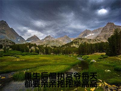 重生后偏执宫爷每天都要亲亲抱抱举高高全文(宫夜寒南欢)全文免费阅读无弹窗大结局_(宫夜寒南欢)重生后偏执宫爷每天都要亲亲抱抱举高高最新章节列表