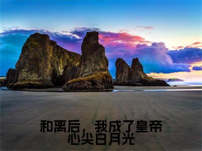 和离后,我成了皇帝心尖白月光好看的小说徐晚凝在线阅读-徐晚凝是什么小说《和离后,我成了皇帝心尖白月光》