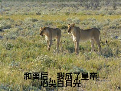和离后,我成了皇帝心尖白月光小说(徐晚凝)全文免费阅读_和离后,我成了皇帝心尖白月光小说(徐晚凝)最新章节列表笔趣阁小说