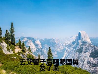 去父留子后瞎眼国舅发了疯全文免费阅读无弹窗大结局_(沈枝熹宋涟舟)去父留子后瞎眼国舅发了疯完整版全文在线赏析