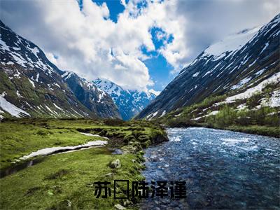 苏玥陆泽谨高赞小说(苏玥陆泽谨)完结阅读_苏玥陆泽谨免费看全文