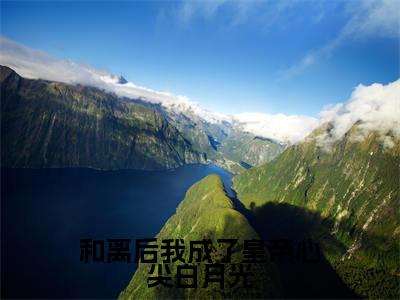 和离后我成了皇帝心尖白月光全文免费阅读无弹窗大结局_和离后我成了皇帝心尖白月光(徐晚凝)小说结局免费阅读(徐晚凝)