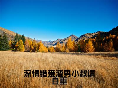 深情错爱渣男小叔请自重全文免费阅读_（唐知芝季承允免费阅读无弹窗）深情错爱渣男小叔请自重最新章节列表笔趣阁