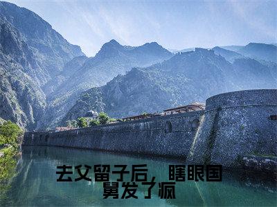 去父留子后,瞎眼国舅发了疯是什么小说-沈枝熹宋涟舟全文免费阅读无弹窗大结局(去父留子后,瞎眼国舅发了疯)最新章节阅读