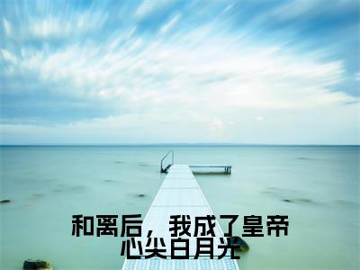 和离后,我成了皇帝心尖白月光全集完整版大结局-徐晚凝小说在线赏析